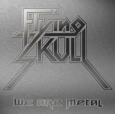 We Are Metal