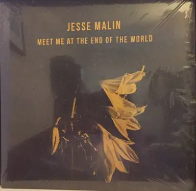 Meet Me at the End of the World