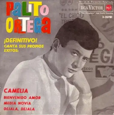 Camelia