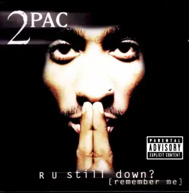 R U Still Down? (Remember Me)