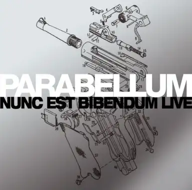 Nunc est bibendum live