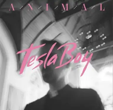 Animal