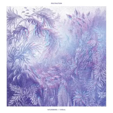 Wildeburg / Coral