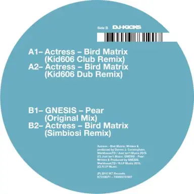Bird Matrix (Remixes)