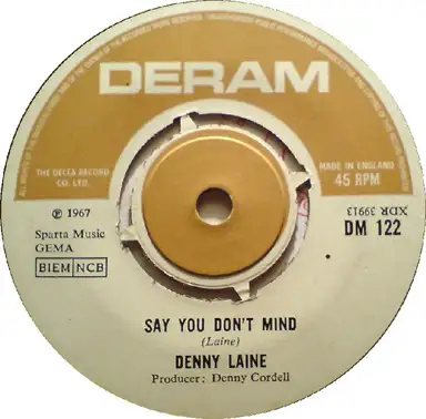 Say You Don't Mind
