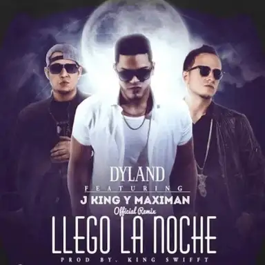 Llegó la noche (remix)