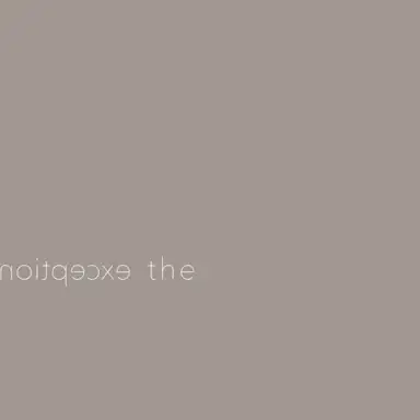 The Exception