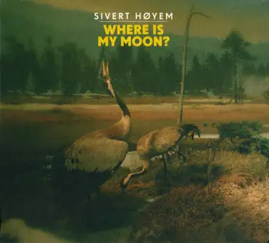 Where Is My Moon?