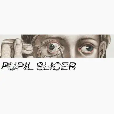 Pupil Slicer