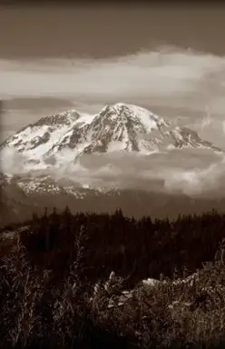 Tahoma