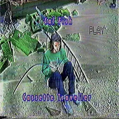 Cassette Traveller