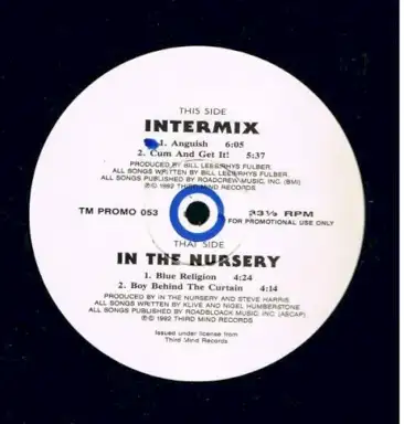 2 Sides Of Third Mind Records