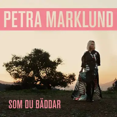 Som Du Bäddar