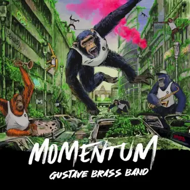 Momentum