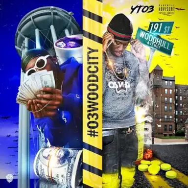 #O3WOODCITY