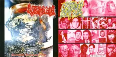 Venganza / Amorphus Ptoma on Decay