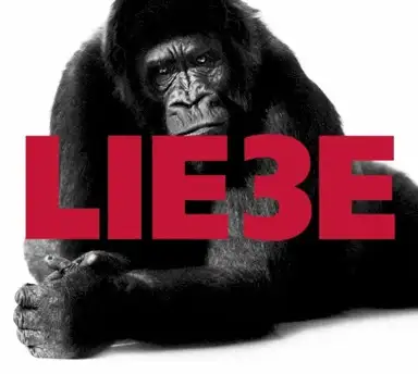 Liebe 3