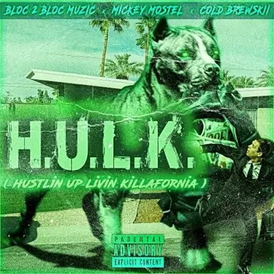 H.U.L.K.