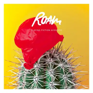 Playing Fiction (acoustic)