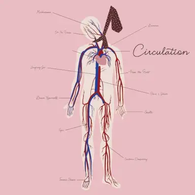 Circulation