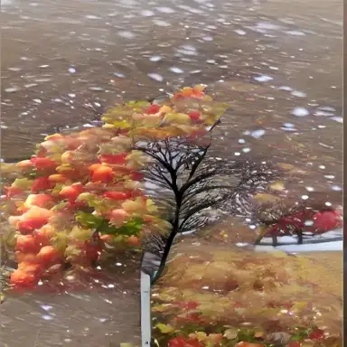 The Familiar Feeling of Seasons Changing