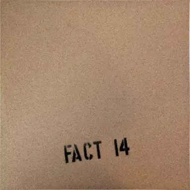 Lost Songs & Sketches 1980-81