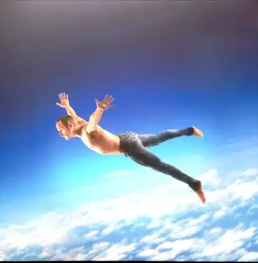 Let Me Fly