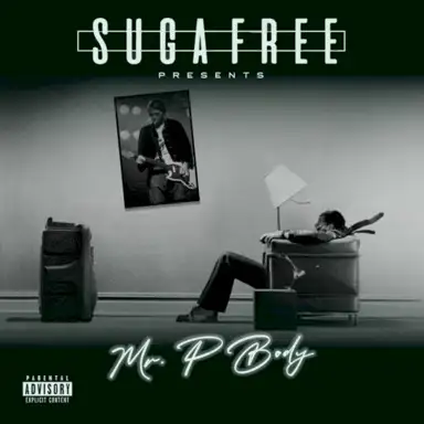 Mr.P Body