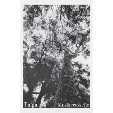 Musikecassette