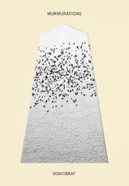 MURMURATIONS