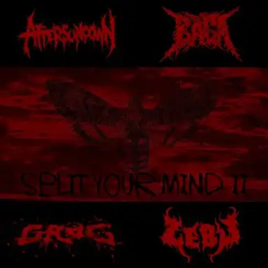 Split Your Mind II