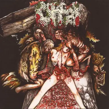Anatomia / Offal