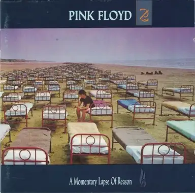 A Momentary Lapse of Reason