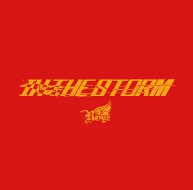 IN THE STORM