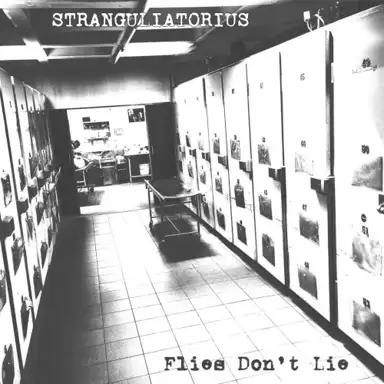 Flies Dont Lie