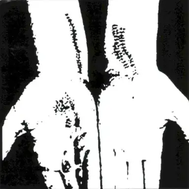 Collection 2005-2007