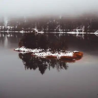 Reflected