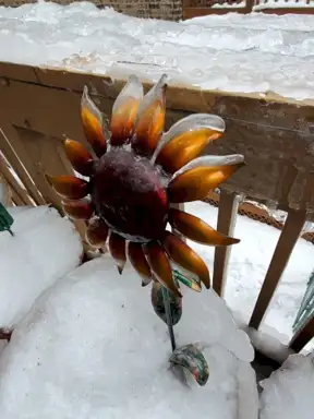 Disquiet in the Air