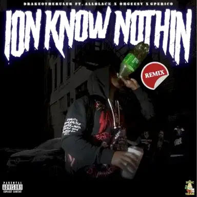 Ion Know Nothing (remix)