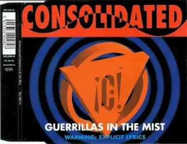 Guerrillas in the Mist