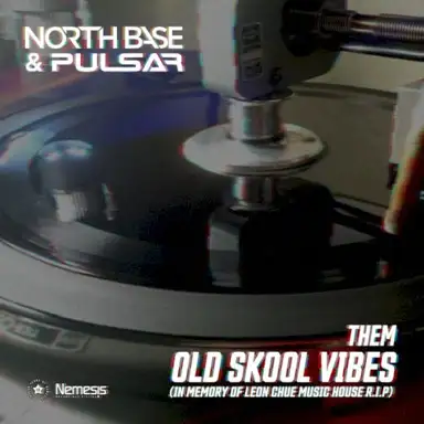 Them Old Skool Vibes