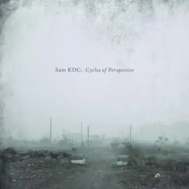Cycles of Perspective