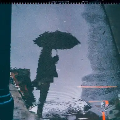 Shelter From the Sun