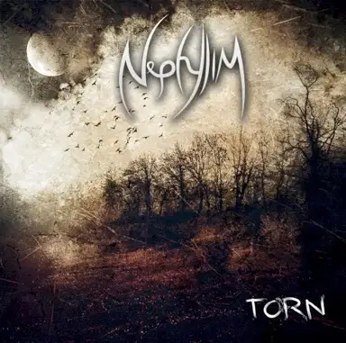 Torn