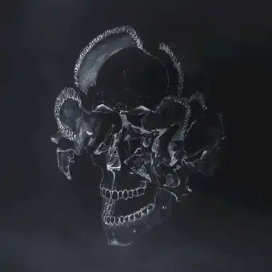 The Goop