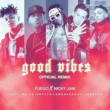 Good Vibes (remix)