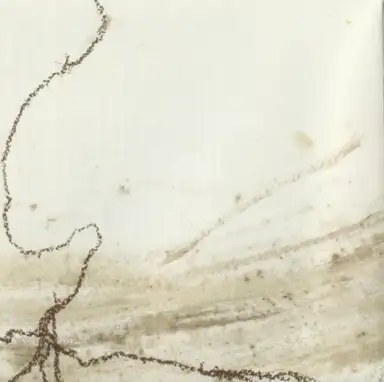 Ustensiles