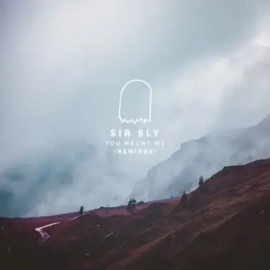 You Haunt Me (remixes)