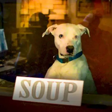 Soup