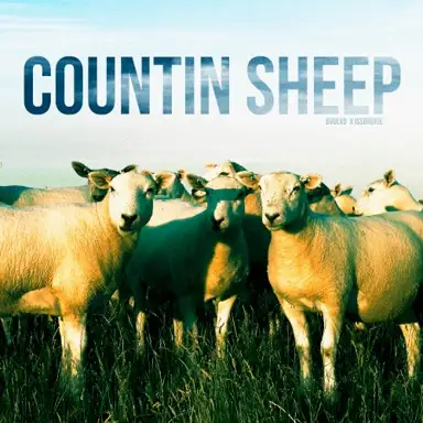 COUNTIN' SHEEP
